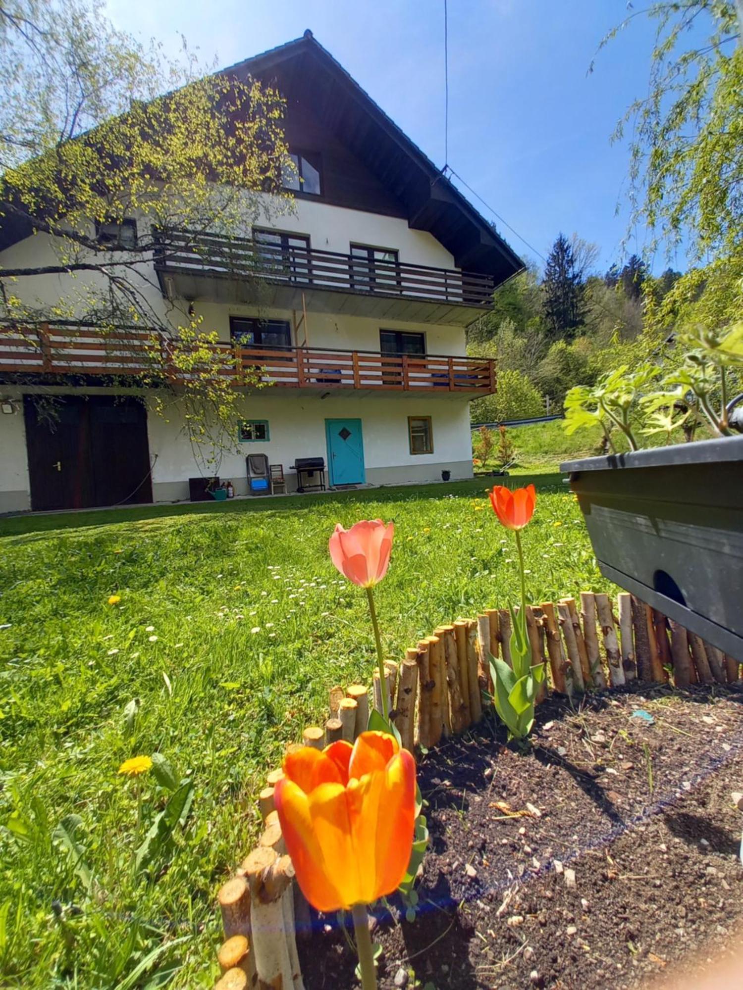 The Riverside Chill Hostel Bled Exterior foto